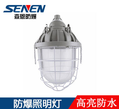 防爆節(jié)能燈 防爆節(jié)能燈