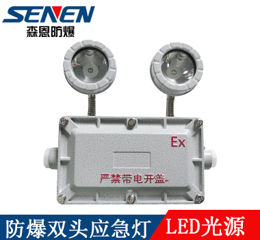 防爆消防應(yīng)急燈FL-ZFZD 防爆消防應(yīng)急燈FL-ZFZD