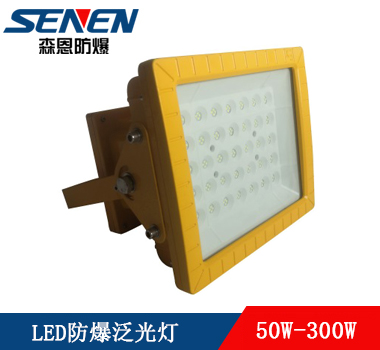 BSX86-M2防爆LED泛光燈(CCD97-I) BSX86-M2防爆LED泛光燈(CCD97-I)