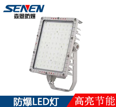 BSX86-M4防爆泛光燈 BSX86-M4防爆泛光燈