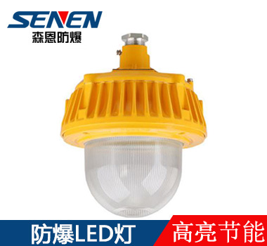 LED防爆平臺(tái)燈50W LED防爆平臺(tái)燈50W